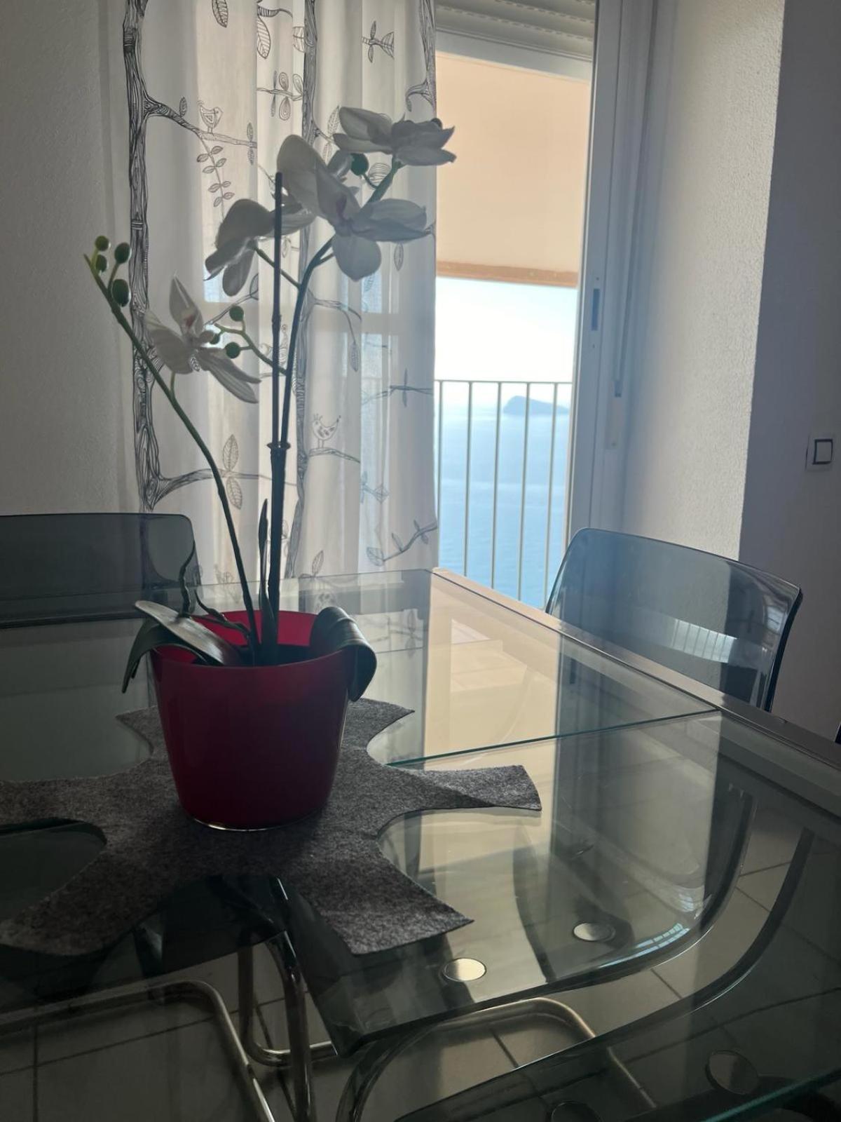 Apartamento Para 4 Personas Frente Al Mar 貝尼多姆 外观 照片